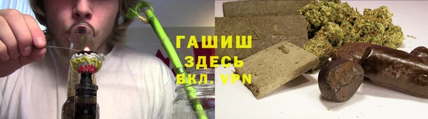 индика Сясьстрой