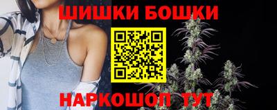 шишки Изобильный