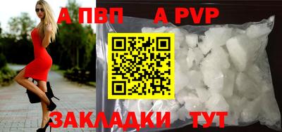 шишки Изобильный