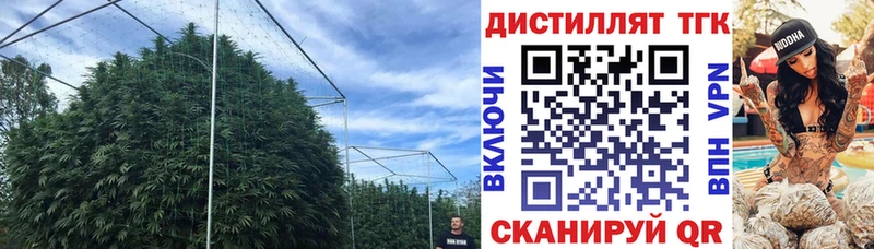даркнет Telegram  kraken ONION  Ульяновск  где можно купить   ТГК THC oil 