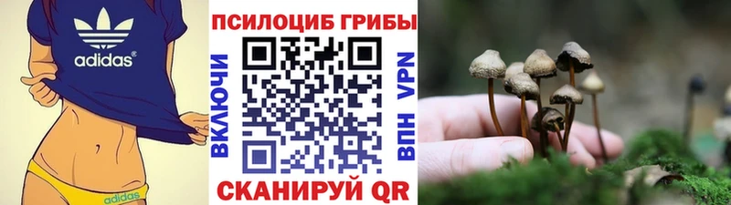 Псилоцибиновые грибы MAGIC MUSHROOMS  магазин продажи   Ульяновск 