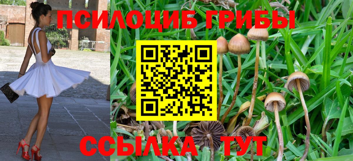 Ульяновск  Кокаин  25-NBOMe  МДМА  Вход с VPN  ГАШИШ  Меф  Каннабис  Кетыч  Меф 