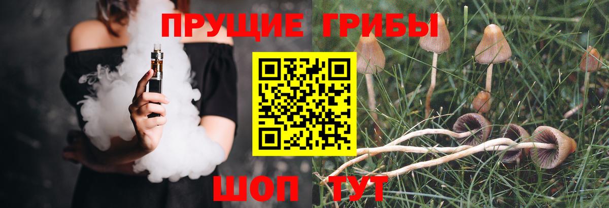 Псилоцибиновые грибы ЛСД  Вход с VPN  даркнет сайт  Ульяновск 