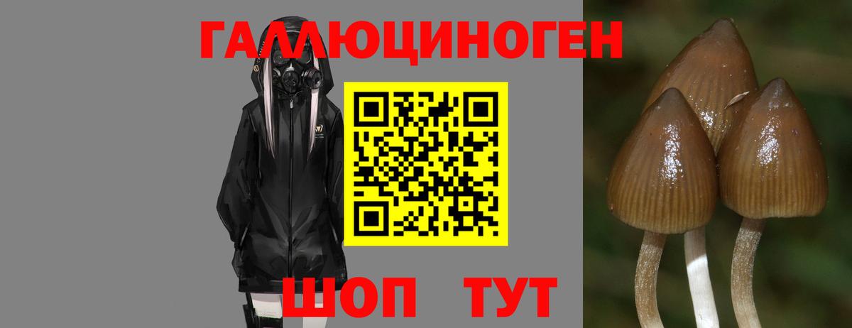 Псилоцибиновые грибы MAGIC MUSHROOMS  Ульяновск 